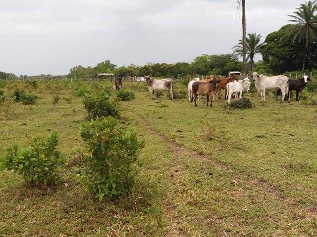 Chácara para Venda em Caravelas - 5