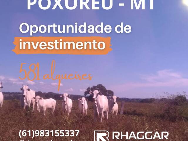 #112 - Fazenda para Venda em Guiratinga - MT - 1