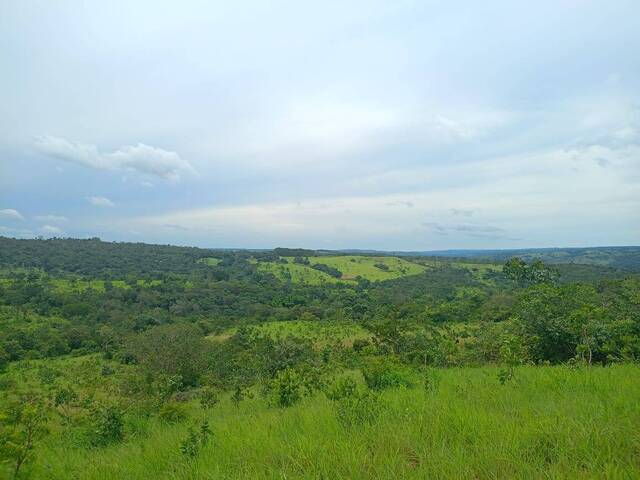 #114 - Fazenda para Venda em Abadiânia - GO - 1