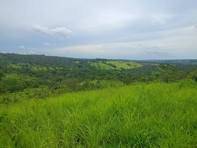 #114 - Fazenda para Venda em Abadiânia - GO - 2