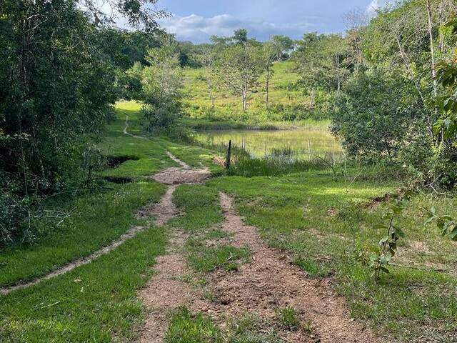 #119 - Fazenda para Venda em Luziânia - GO - 1