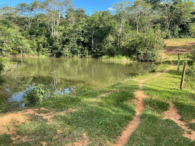 #119 - Fazenda para Venda em Luziânia - GO - 3