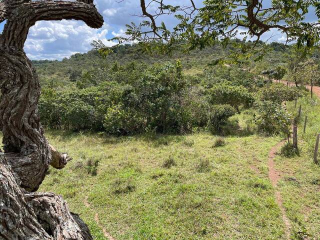 Fazenda para Venda em Luziânia - 5