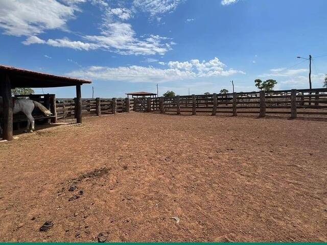 #120 - Fazenda para Venda em Formosa - GO - 3