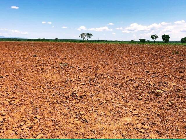 Fazenda para Venda em Formosa - 4