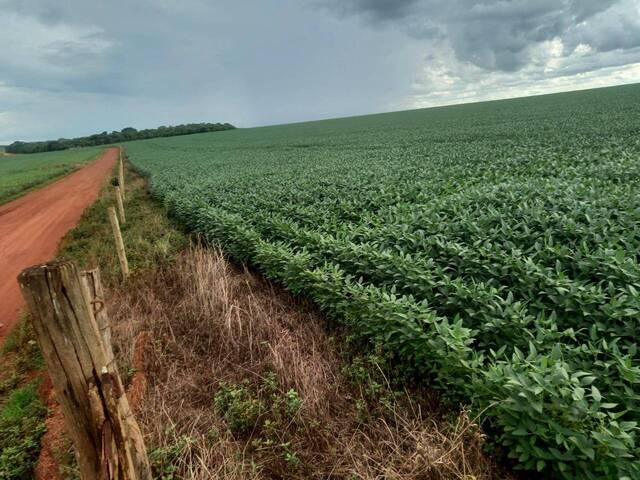 Fazenda para Venda em Caiapônia - 4