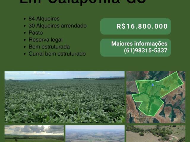 #125 - Fazenda para Venda em Caiapônia - GO - 1