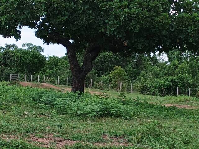 #126 - Fazenda para Venda em Paranã - TO - 2