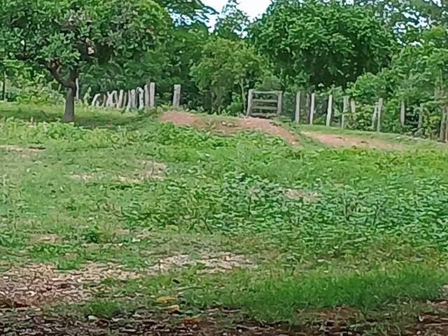 #126 - Fazenda para Venda em Paranã - TO - 3