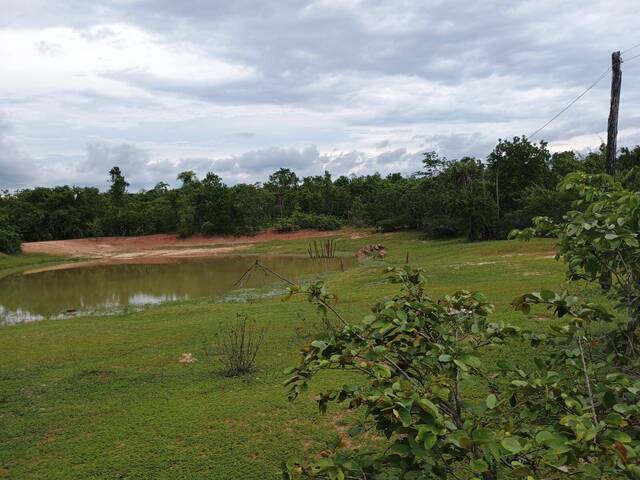 Fazenda para Venda em Paranã - 4