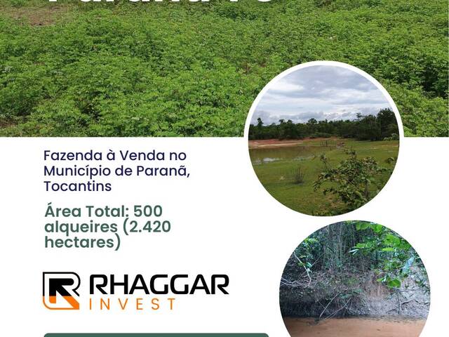 #126 - Fazenda para Venda em Paranã - TO - 1