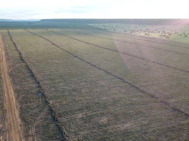 #127 - Fazenda para Venda em Mateiros - TO - 3