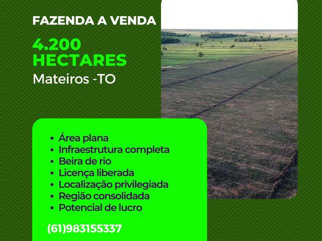#127 - Fazenda para Venda em Mateiros - TO - 1