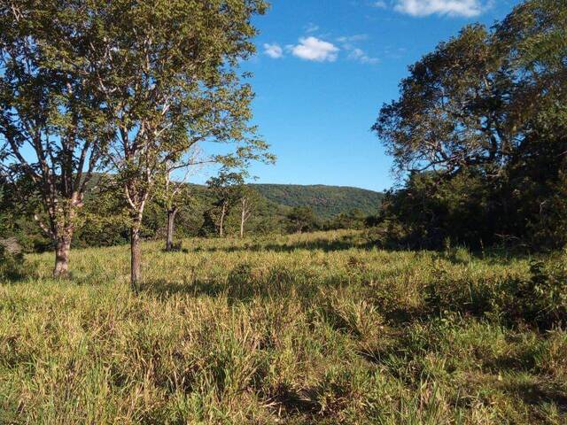 #128 - Fazenda para Venda em Faina - GO - 2