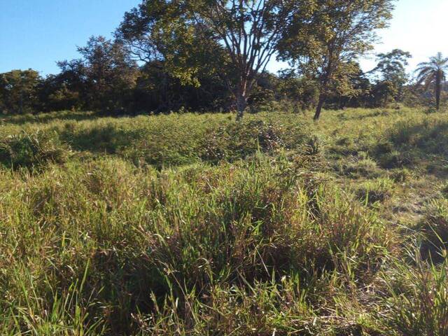 #128 - Fazenda para Venda em Faina - GO - 3