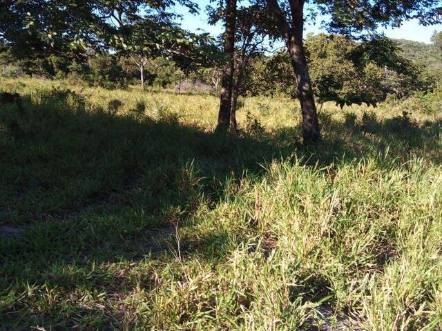 Fazenda para Venda em Faina - 4