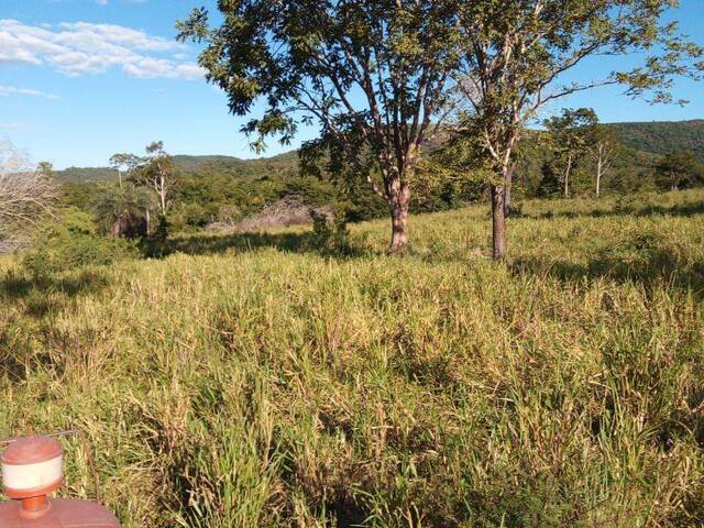 Fazenda para Venda em Faina - 5