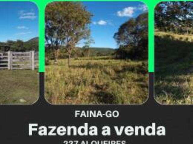 #128 - Fazenda para Venda em Faina - GO - 1