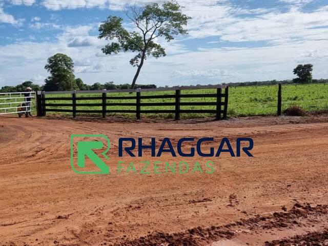 Fazenda para Venda em Cocalinho - 5
