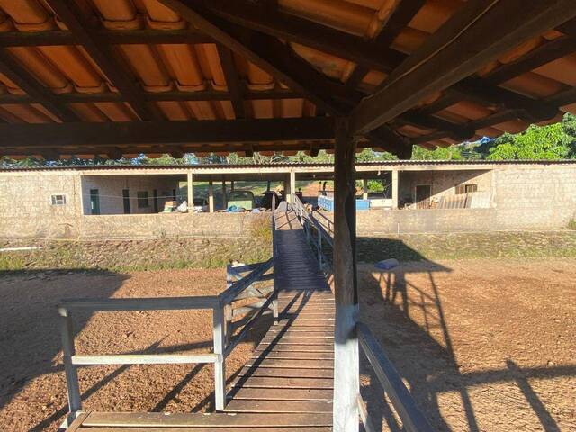 #140 - Fazenda para Venda em Cocalzinho de Goiás - GO - 2