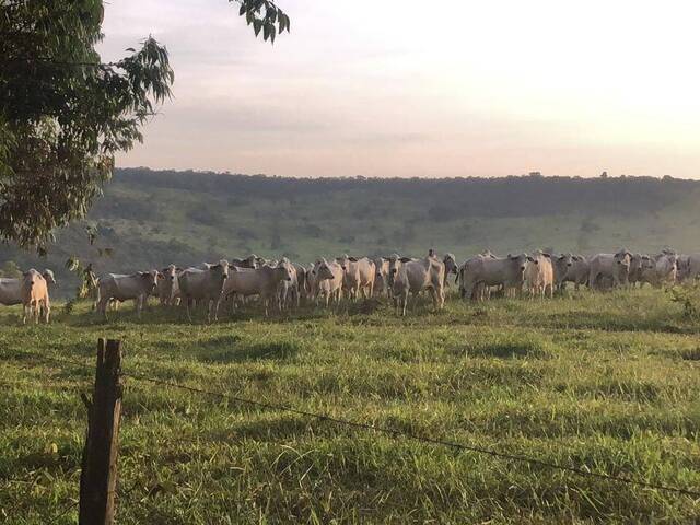 Fazenda para Venda em Cocalzinho de Goiás - 5