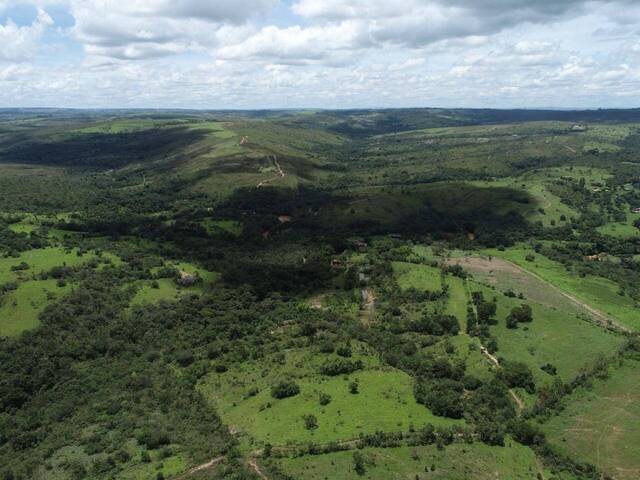 #140 - Fazenda para Venda em Cocalzinho de Goiás - GO - 1