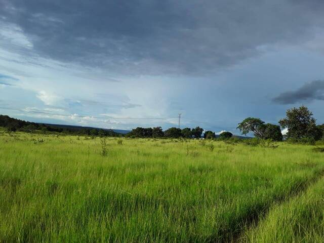#144 - Fazenda para Venda em Alto Paraguai - MT - 2
