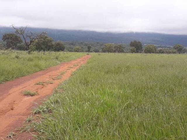 #144 - Fazenda para Venda em Alto Paraguai - MT - 3