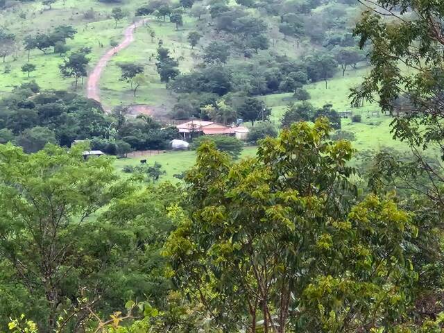 #146 - Chácara para Venda em Orizona - GO - 2