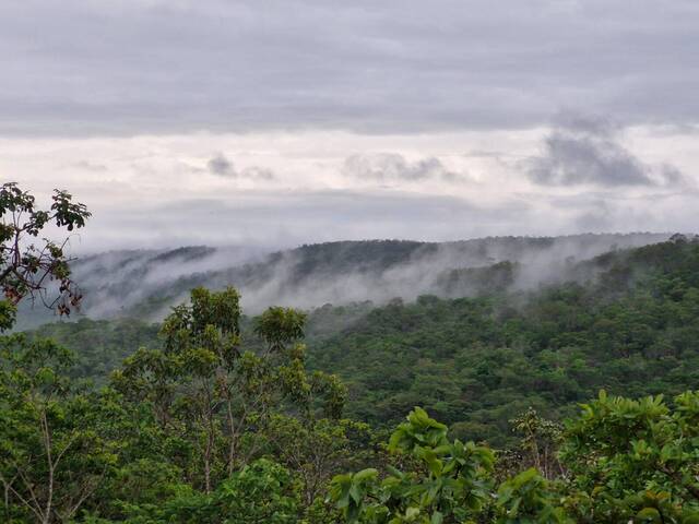 #146 - Chácara para Venda em Orizona - GO - 3