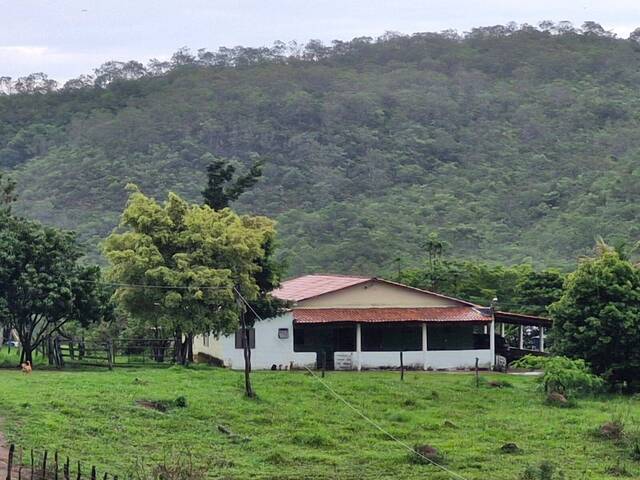 #146 - Chácara para Venda em Orizona - GO - 1
