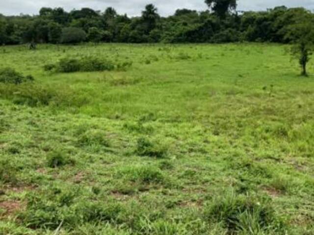 Chácara para Venda em Estrela do Norte - 4